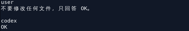 终端中的 Codex 对最小测试返回 OK